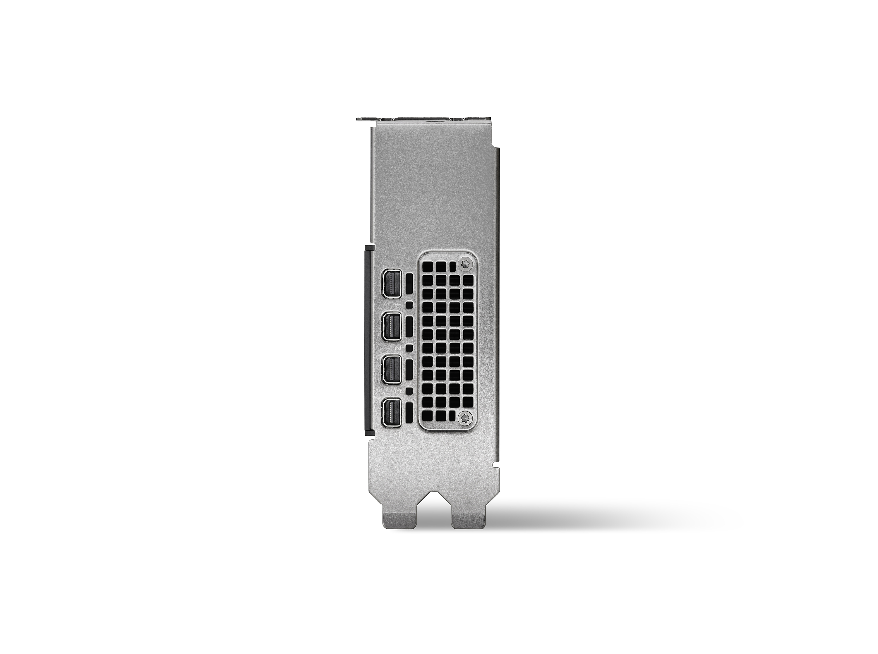 PNY NVIDIA RTX 2000 Ada 16 GB GDDR6 4x Mini DisplayPort Low Profile