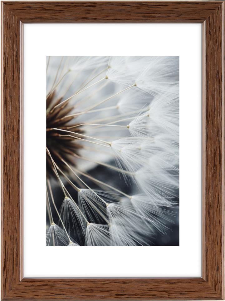 Hama Breeze Glas Polystyrol (PS) (00193045)