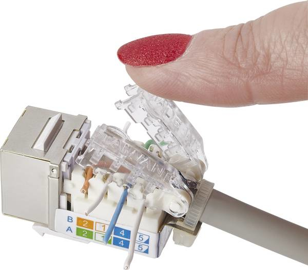Renkforce RJ45-Einbaumodul Keystone CAT 6 Metallisch, Transparent, Weiß