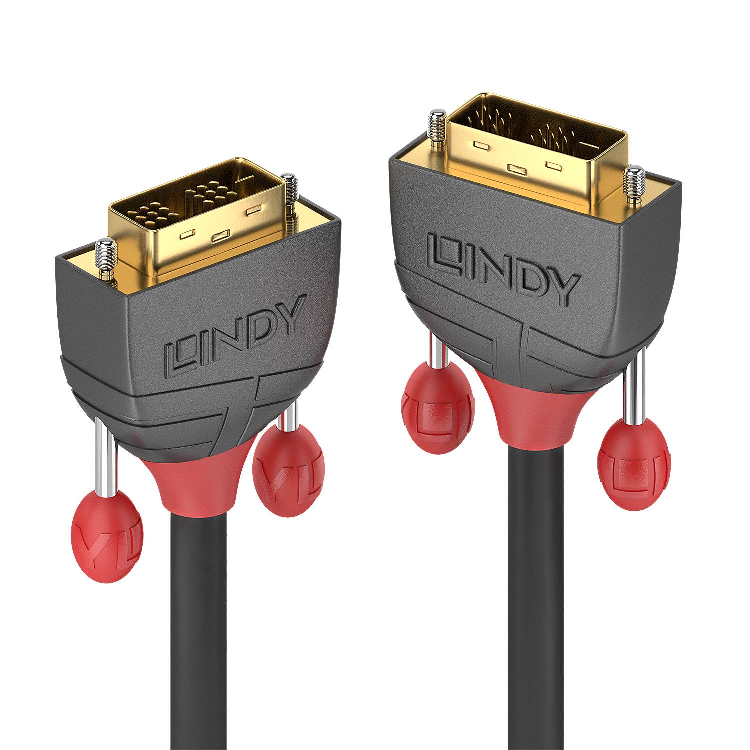 LINDY DVI-D Single Link Kabel 25m, Anthra Line