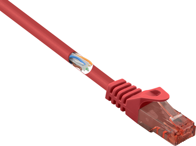 Renkforce RF-5047416 RJ45 Netzwerkkabel, Patchkabel CAT 6 U/UTP 0.50 m Rot mit Rastnasenschutz, Flammwidrig 1 S (RF-5047416)