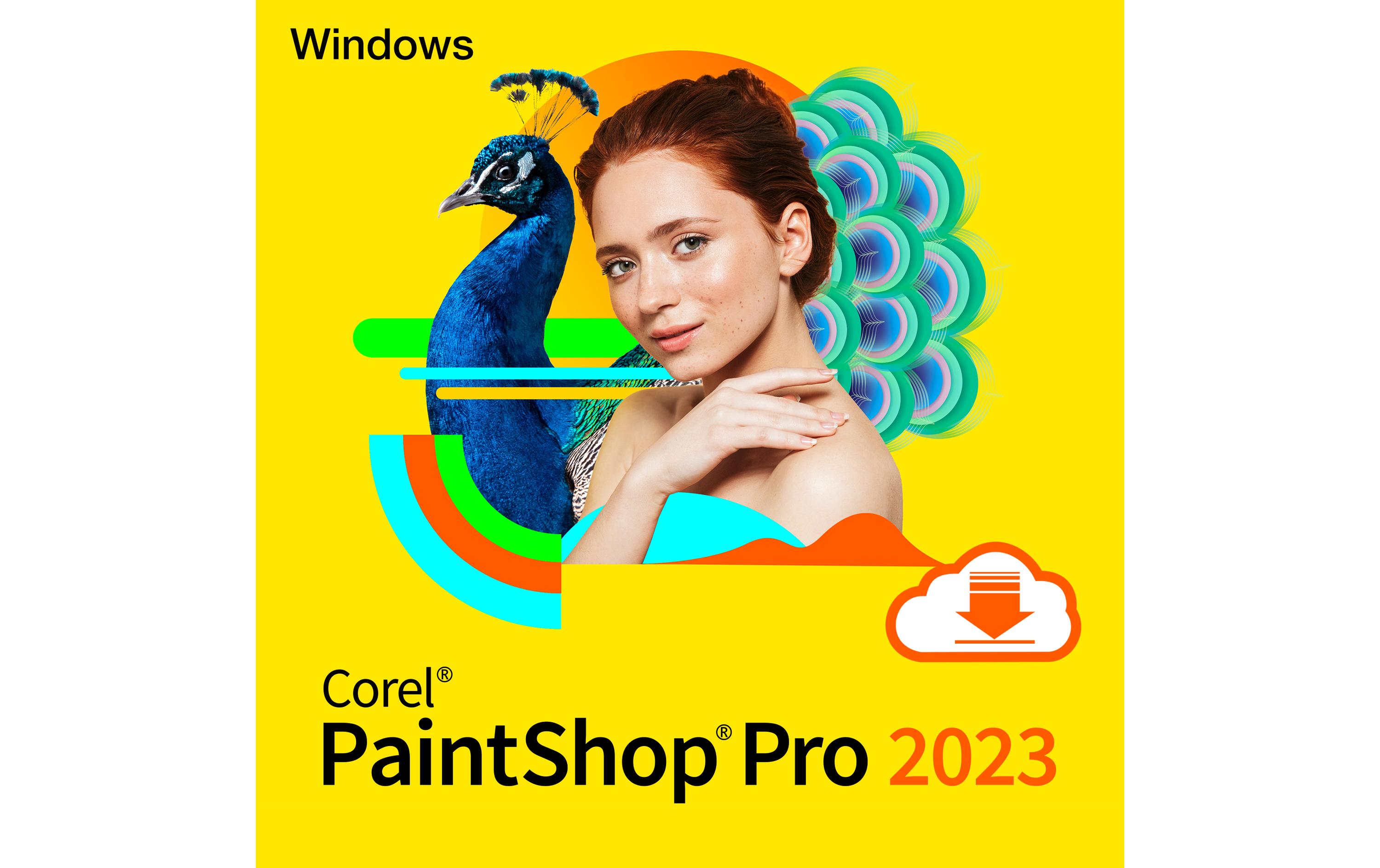 Corel PaintShop Pro 2023 Grafischer Editor 1 Lizenz