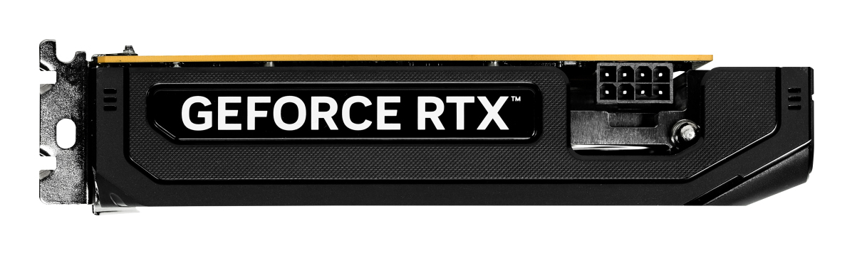 Gainward Pegasus GeForce RTX 5050 8 GB GDDR6 Schwarz