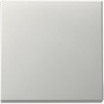 GIRA Wippe 3296600 Sys.55 es (3296600)