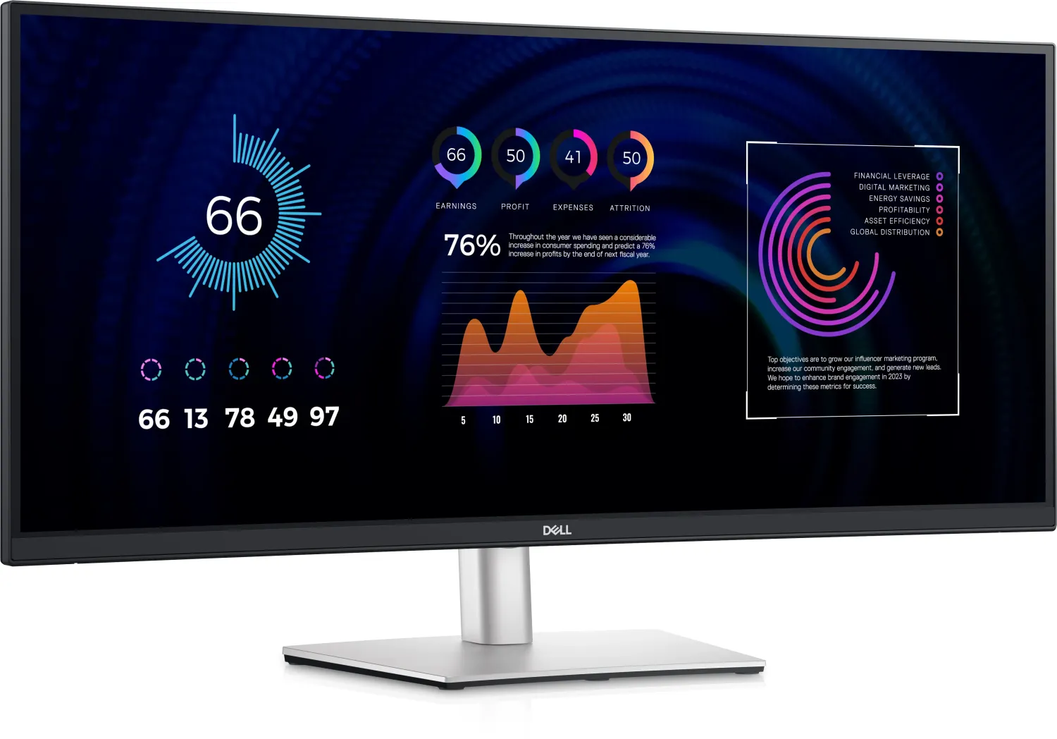Dell P3424WE LED-Monitor (210-BGTY)