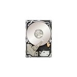 Lenovo Festplatte 146GB (90Y8926)