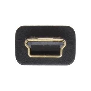 InLine Mini-USB2.0 Flachkabel (31810F)