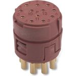 Lapp EPIC SIGNAL M23 Kits 12pole Drahtverbinder EPIC M23 12-pin Braun (75009710)