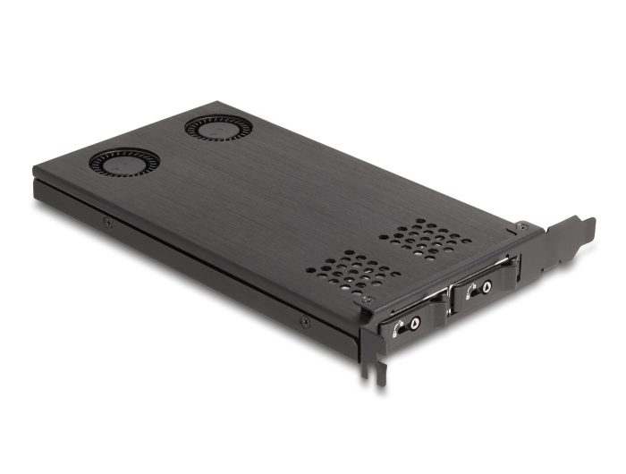 Delock 47042 PCIe 4.0 x16 Karte Wechselrahmen für 2 x M.2 NVMe SSD Bifurcation Silber