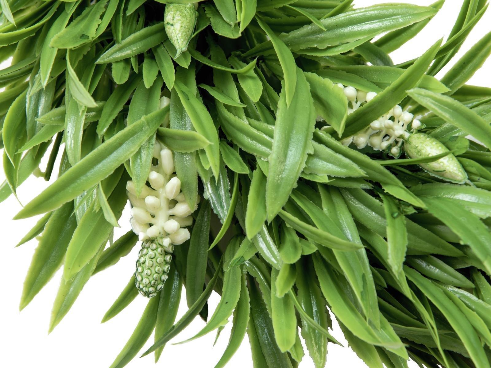 EUROPALMS Lavendelkranz, 30cm (83500504)