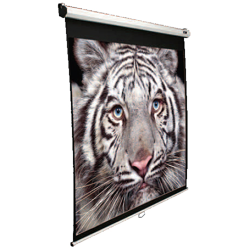 Elite Screens Manual M119XWS1 Rollo Beamerleinwand 119" 1:1 MaxWhite Weiß