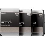 Synology HAT5300 Festplatte (HAT5300-12T)