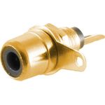 shiverpeaks BS52091-S Drahtverbinder RCA Gold (BS52091-S)