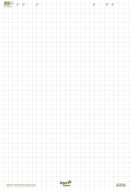 Ursus Green Flipchart-Pad 680 x 990 mm 20 Blatt 80 g/m² Kariert, Weiß