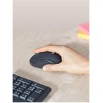 Logitech MK295 Silent (920-009797)