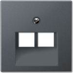 JUNG A 569-2 BFPLUA ANM. Produktfarbe: Anthrazit, Markenkompatibilität: JUNG, Material: Thermoplast (A569-2BFPLUAANM)