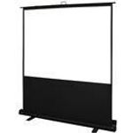 Elite Screens ezCinema 2 Series (F84XWV2)