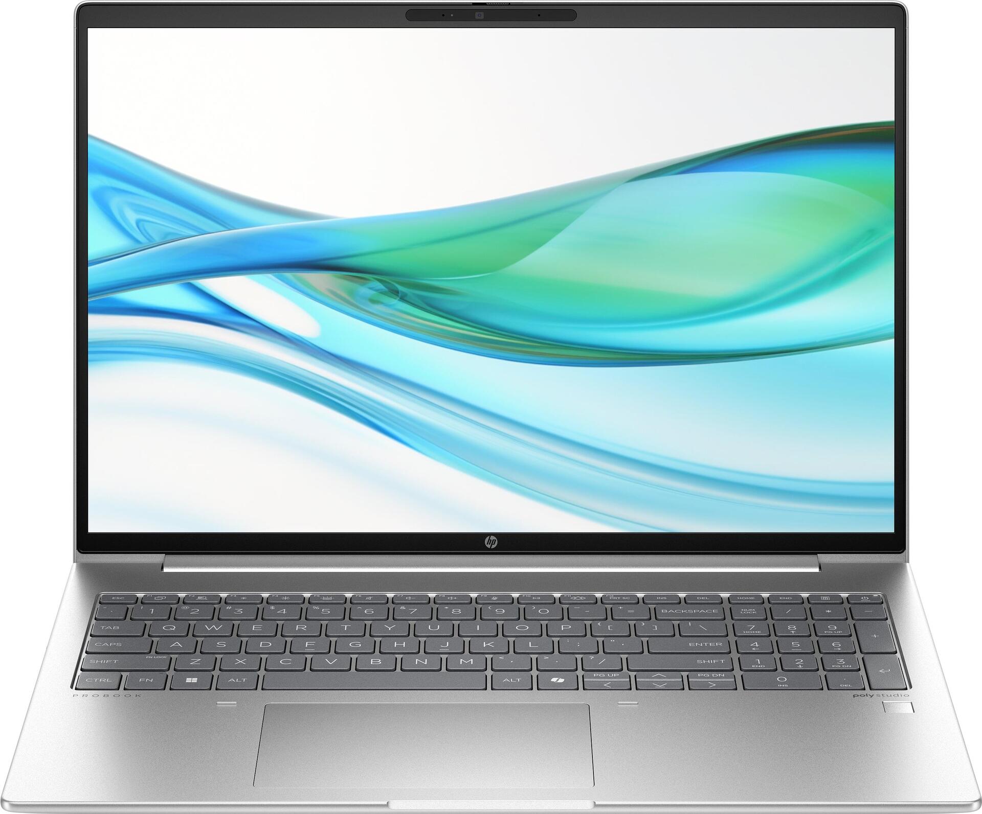 HP ProBook 460 G11, Pike Silver, Core Ultra 5 125U, 16GB RAM, 512GB SSD, DE (9C0C5EA#ABD)