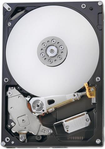Fujitsu Festplatte 1 TB (S26462-F3500-L102)