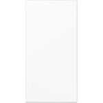 Jung Abdeckung in Tastenfarbe 33x70,5mm LS 50NAWW (LS50NAWW)