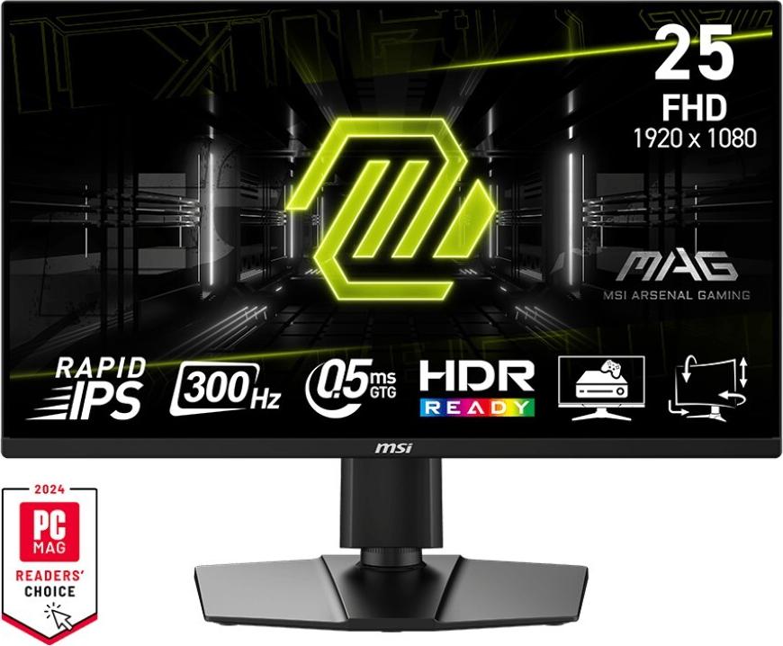 MSI MAG 255PXF LED-Monitor 62,2 cm (24,5") Full HD (MAG 255PXF)