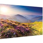 Legrand FullVision 158 x 280 cm Mattweiß (10600670)