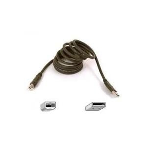 Belkin PRO Series USB-Kabel (F3U133B06)