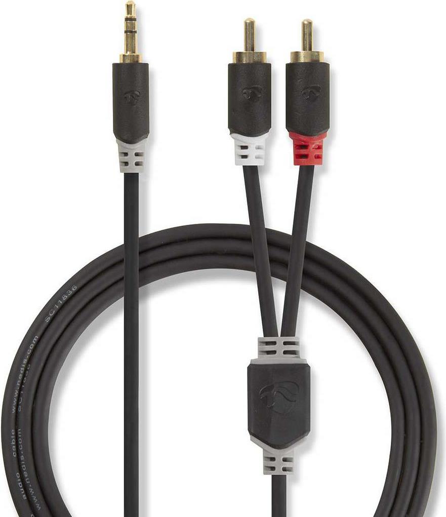 Nedis CABW22200AT100 Audio-Kabel 10 m 3.5mm 2 x RCA Anthrazit (CABW22200AT100)