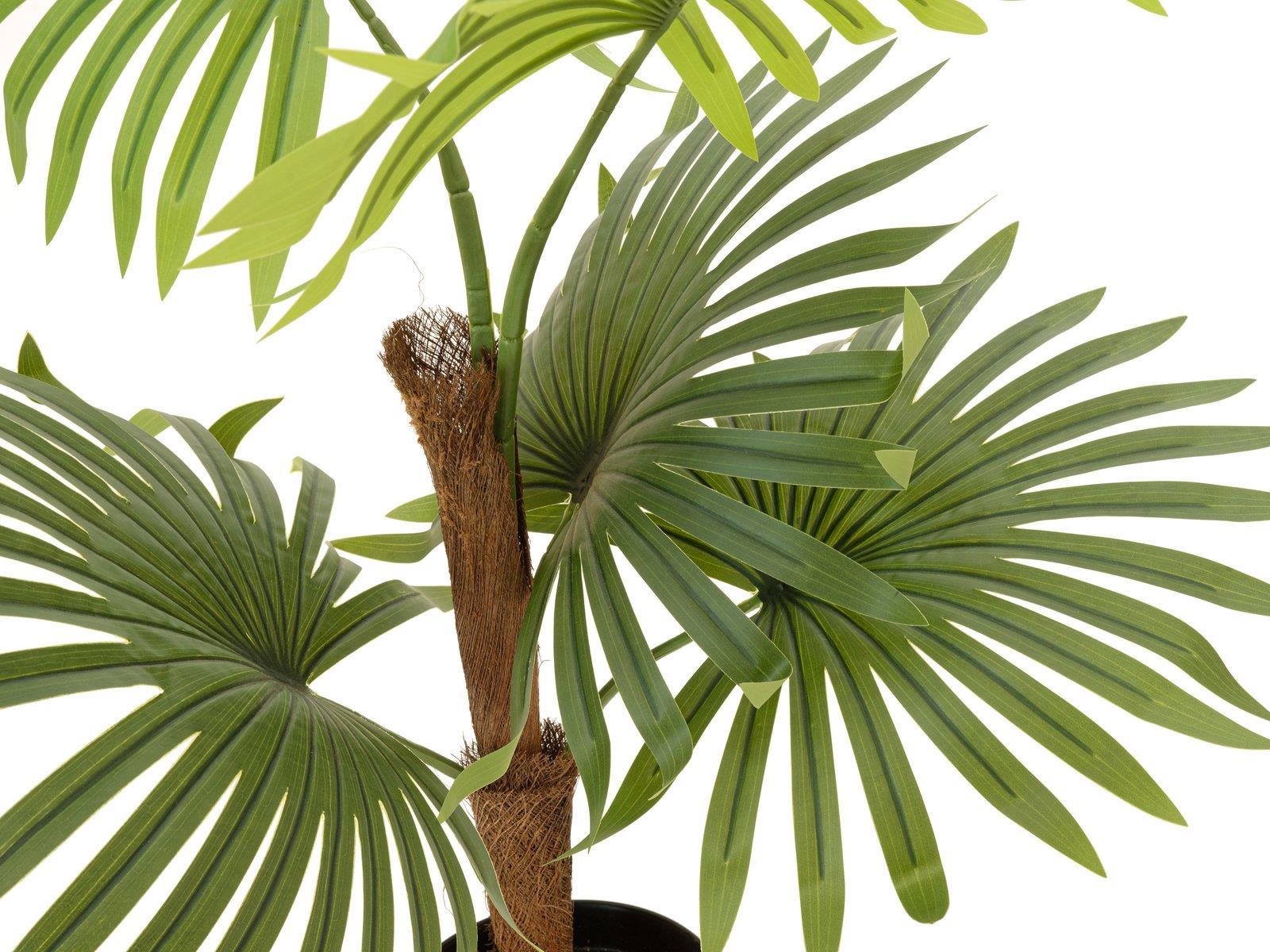 EUROPALMS Fächerpalme, Kunstpflanze, 88cm (82509301)