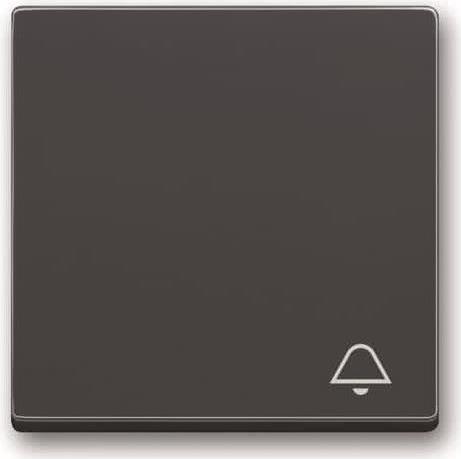 Busch-Jaeger Wippe mit Aufdruck anthrazit 2520 KI-81 (2CKA001751A3176)