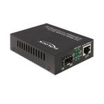 DeLOCK 86180 1000 Mbit/s (86180)