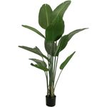 EUROPALMS Strelitzie, Kunstpflanze, 170cm (82540523)