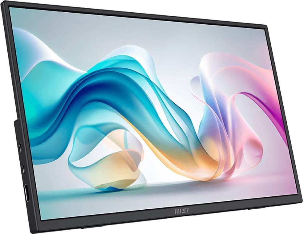 MSI PRO MP165DE E6 16" Full HD IPS Monitor Schwarz