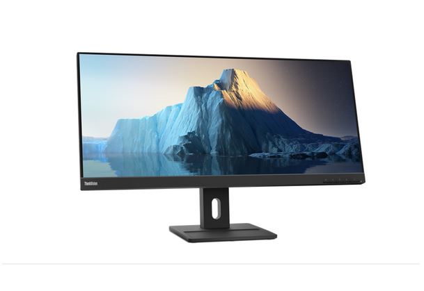 Lenovo ThinkVision E29w-20 73,7 cm (29" ) 2560 x 1080 Pixel UltraWide Full HD LED Schwarz (62CEGAT3EU)