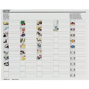 LEITZ Mini-Aktei Hängemappen-Box Plus, blau aus Polystyrol, stapelbar, niedrige Vorderseite, mit Trage- (1993-00-35)