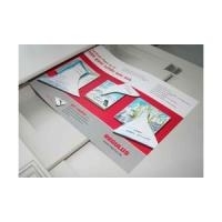 REGULUS SIGNOLIT SC Polyesterfolie A4 100 Blatt Opaque White