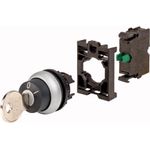 Eaton 110917 Schaltschrankverriegelung (110917)