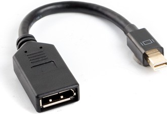 Lanberg AD-0003-BK DisplayPort Mini DisplayPort Schwarz Kabelschnittstellen-/adapter (AD-0003-BK)