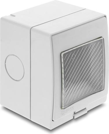 Delock Easy 45 Aufputzgehäuse IP55 wasserfest 2 Port (81623)