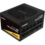 Enermax Revolution D.F.12 Netzteil 850 W 20+4 pin ATX ATX Schwarz (ETV850G)