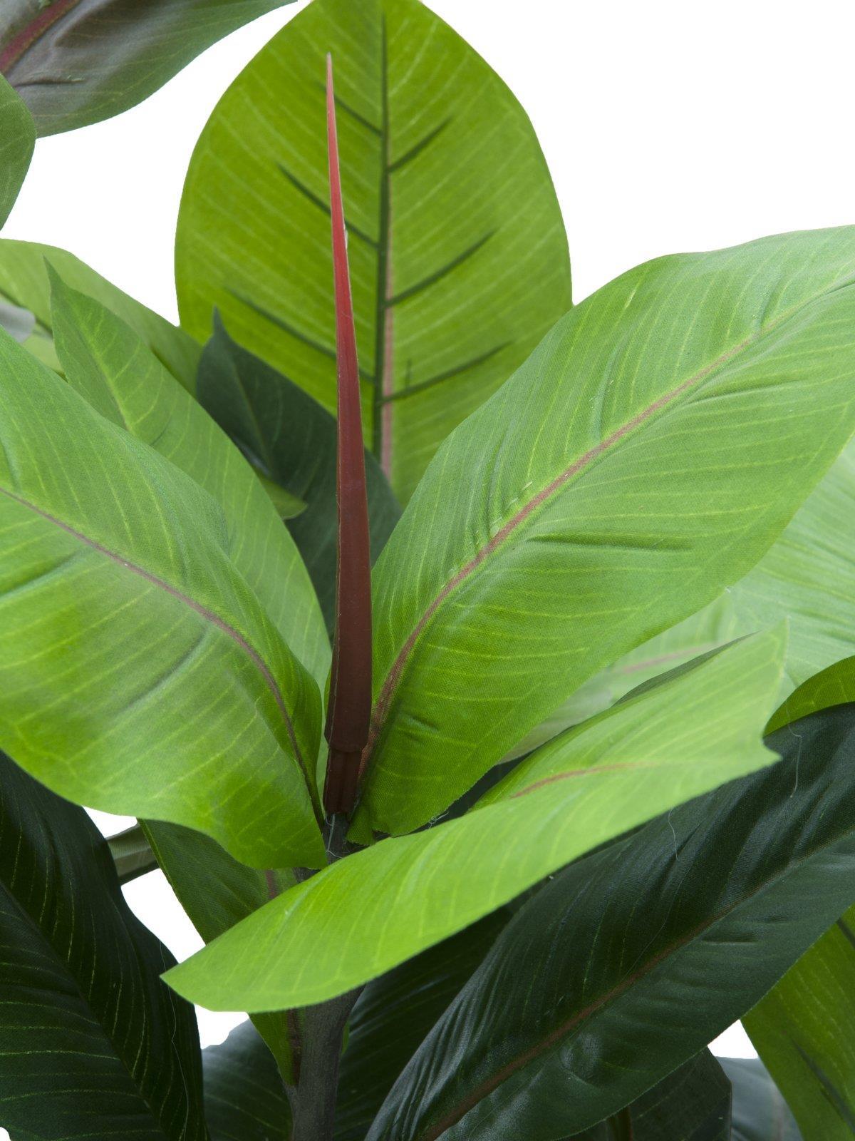 EUROPALMS Gummibaum, Kunstpflanze, 100cm (82508303)