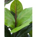 EUROPALMS Gummibaum, Kunstpflanze, 100cm (82508303)