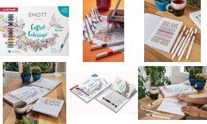 uni-ball Fineliner EMOTT, 16er Karton-Etui pigmentierte Tinte auf Wasserbasis, dokumentenecht, starke, - 1 Stück (CF EMOTT/16 001)