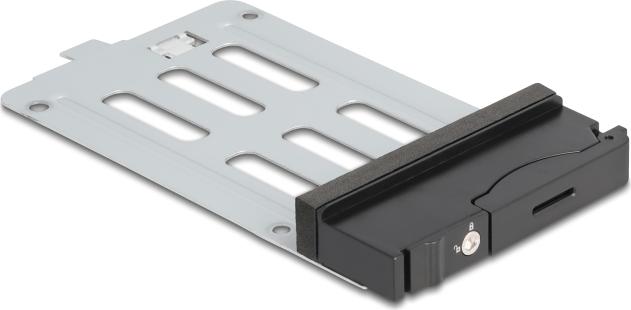 Delock Wechselrahmen Einschub für 1 x 2.5? SATA / SAS HDD / SSD für Wechselrahmen 47220, 47230 (47133)