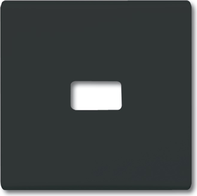 BUSCH-JAEGER Wippe f. Symbol 2120-35 IP44 Allwetter anthrazit 2120-35 (2120-35)