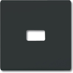 BUSCH-JAEGER Wippe f. Symbol 2120-35 IP44 Allwetter anthrazit 2120-35 (2120-35)