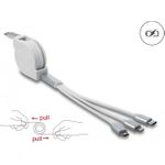 Delock Kabel nur zum Laden (85844)