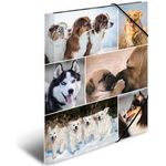 HERMA 19211 Pappe Mehrfarben Aktendeckel (19211)