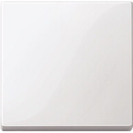 Merten 432125. Produktfarbe: Weiß, Material: Thermoplast (432125)