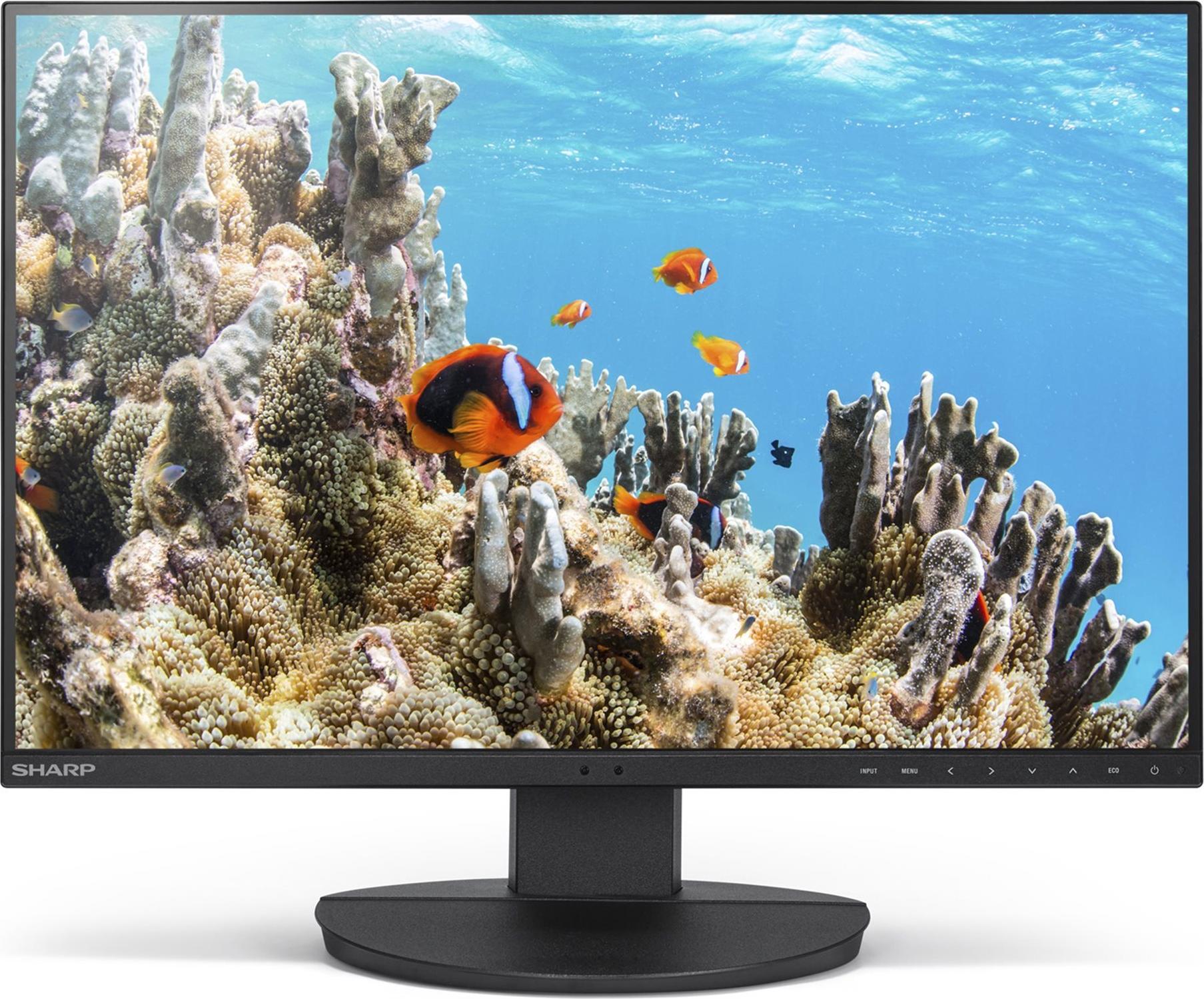 Sharp MultiSync EA242W 24" WUXGA IPS-Monitor 1920x1200 HDMI DP USB-C höhenverstellbar Schwarz
